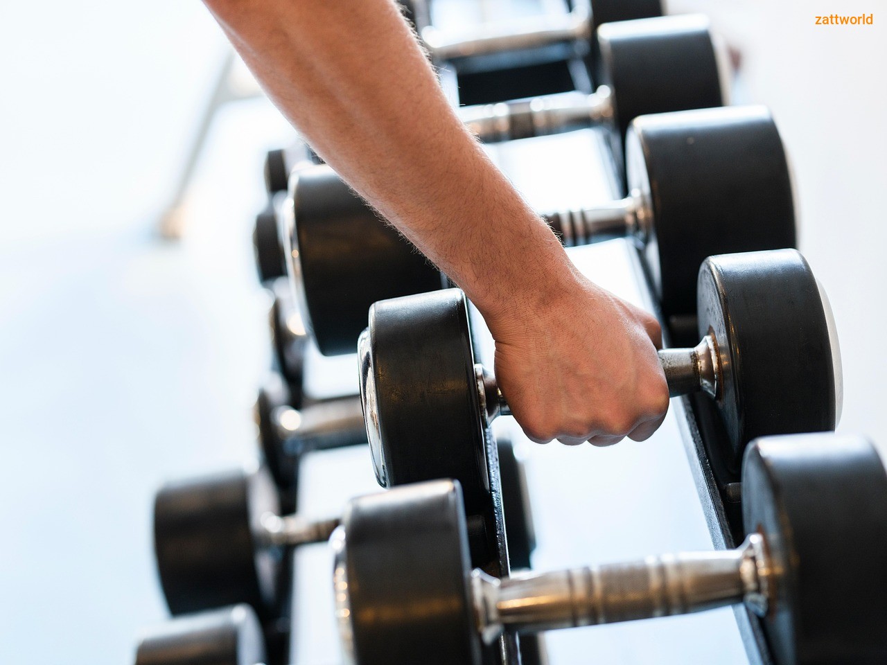 Body Fitness