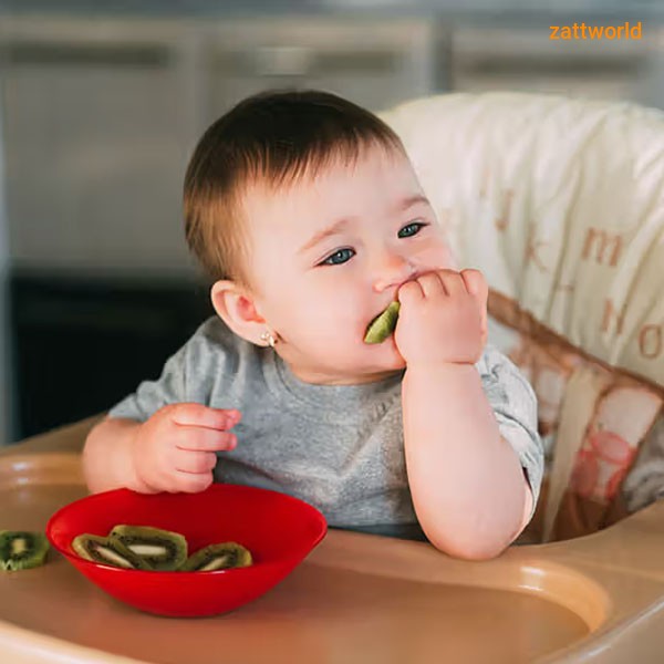 Baby Food